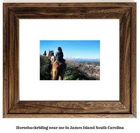 horseback riding near me in James Island, South Carolina